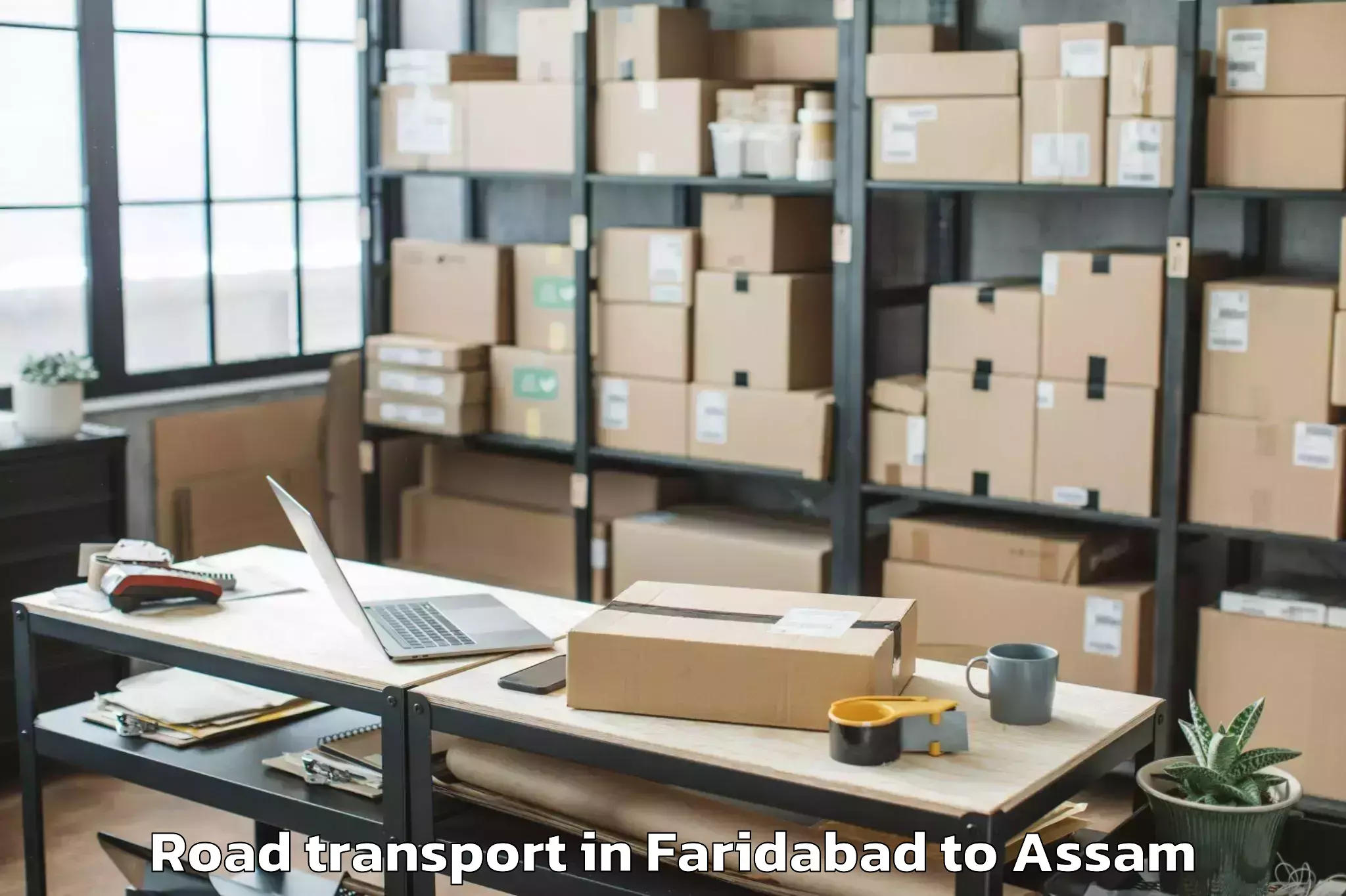 Leading Faridabad to Kaliabor Road Transport Provider